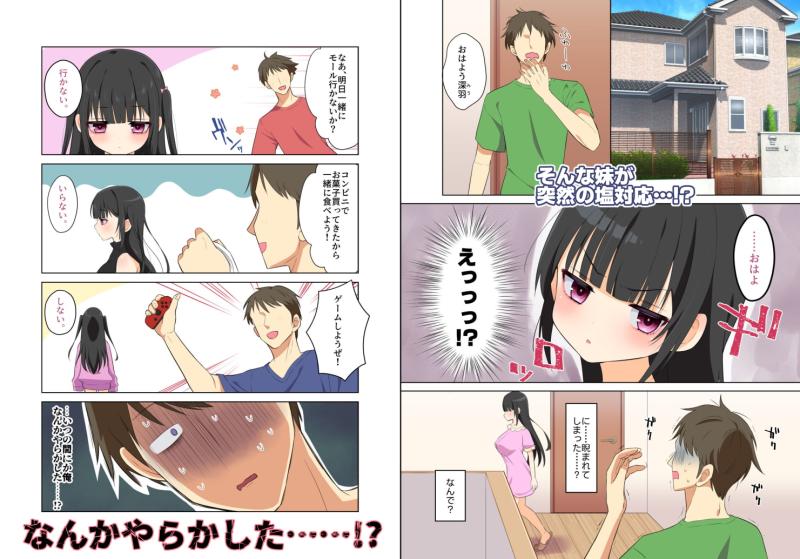 「妹は兄にハメられたい!～すれ違い兄妹がラブハメセックス漬けになるまでの話～」のサンプル画像3